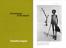 salgado book